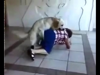 video молодые секс старуху funny dogs видео прикол мега приколы ржака жесть sex