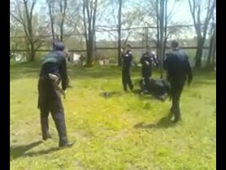 video зупппм порно гей лезби молодые головного мозга sex