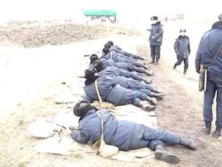 video вч 3024 порно гей лезби молодые головного мозга sex