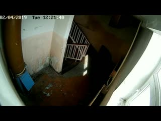 video заколдованный подъезд в котором хочется ссать sex