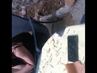video vape and drunked family sex