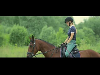 video красивое видео с лошадьми прогулка на лошади видео 2019 sex