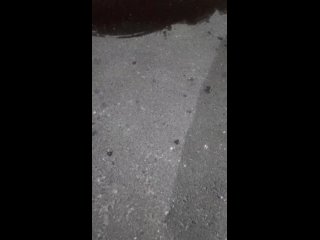 video randis vid 20210724 001213 mp4 sex