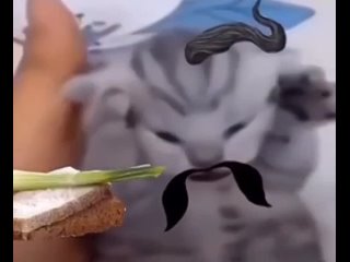 video g vid 20211217 001557 993 mp4 sex
