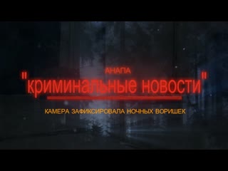 video камера зафиксировала ночных воришек sex