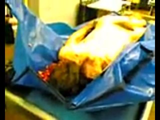 video жесть что да как в морге такового вы ещё не ивдели нигде жесть это не xxx sex