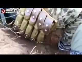 video украина чеченцы прибыли в зону ато чтобы поймать грузина добермана sex
