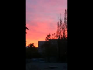 video طيز vid 104991008 060912 676 mp4 sex