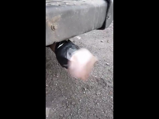 video резиновую вагину из сексшопа надели на глушитель автомобиля это было весело sex