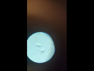 video divakar filestorageemulated0dcimcameravid 20230402 003441 mp4 sex