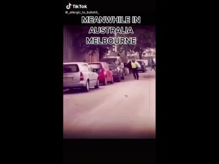 video очередной герой новой нормальности в австралии пытается заставить человека надеть намордник смешно sex