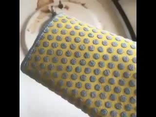 video campaly vid 20200418 034350 084 mp4 sex