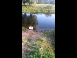 video brzedb mov 0918 mp4 sex
