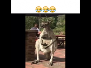 video иички ля ля ля ля ляяя sex
