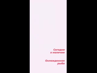 video drunk vid 31381211 004731 654 mp4 sex