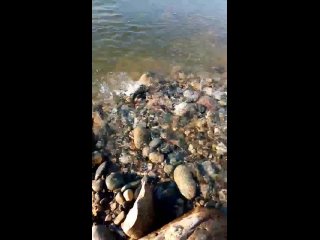video hot vid 20210404 081114 3gp sex
