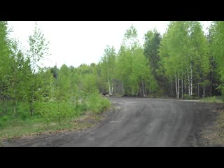 video very sam 0199 sex