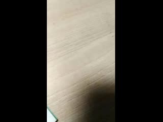 video randis vid 20190221 001213 mp4 sex