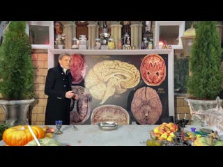 video уроки публицистики невзоров лекция 1 безмозглый мозг sex