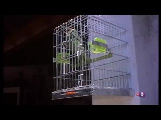 video jovenes amiguitas buscan placer 1982 sex