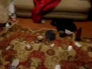 video привет сашавписка у баги вальштейна sex