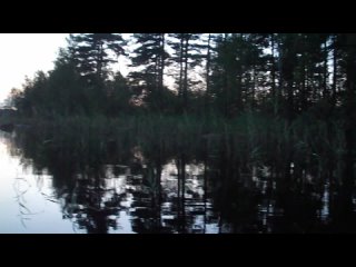 video заходское озеро большое красноперское июль 2014 белая ночь купание назойливый комар летает жужжит и хочет укусить sex