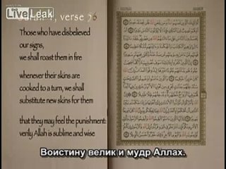 video фитна испытание скандальный голландский фильм про исслам с русским переводом sex