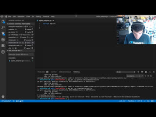 video live coding moleculer go sqlite db adapter golang microservices livecoding sqlite sex
