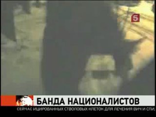 video подробности задержания банды националистов в петербурге репортаж sex