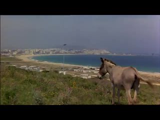 video знак стрельца i skyttens tegn denmark1978 sex