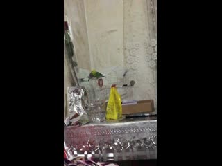 video chained img 0415 mov sex