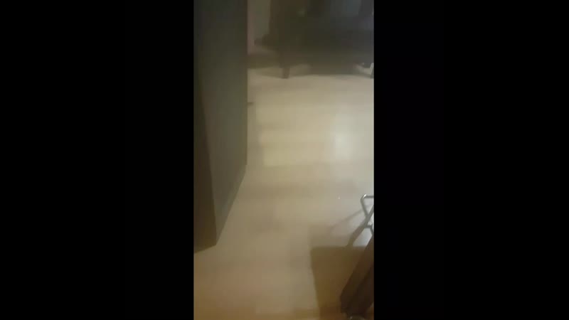 video не выдержала за кота отца очень отругала да мне очень жалко они плачут у отца 0 жалостиа у меня есть н sex