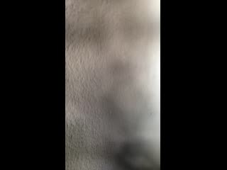 video bosse trier any time i have gone to a german hospital poisoned tortured fake medical reports protecting fake sex