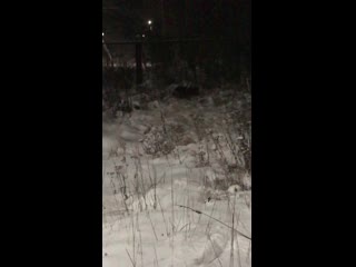 video kali img 0753 mov sex