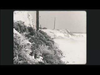 video 16 мир кормана cormans world exploits of a hollywood rebel алекс стэплтон sex