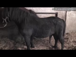 video видео от dawt cung sex