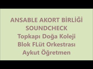 video soundchack sound chack saund çek blok flüt ansamble koro tonu sopranino picolo soprano blok flüt dersi parmak sex