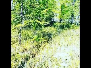 video vkmw vid 62480804 095853 431 mp4 sex