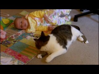 video our little girl elliotte 4 months and our babysitting cat watson 18 years are best friends sex