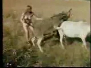 video любительницы секса с ослами sex