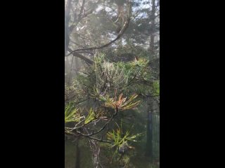 video video vid 20210719 090701 mp4 sex