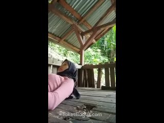 video viral jilbab abg mesum ngentot di pos ronda mp4 sex