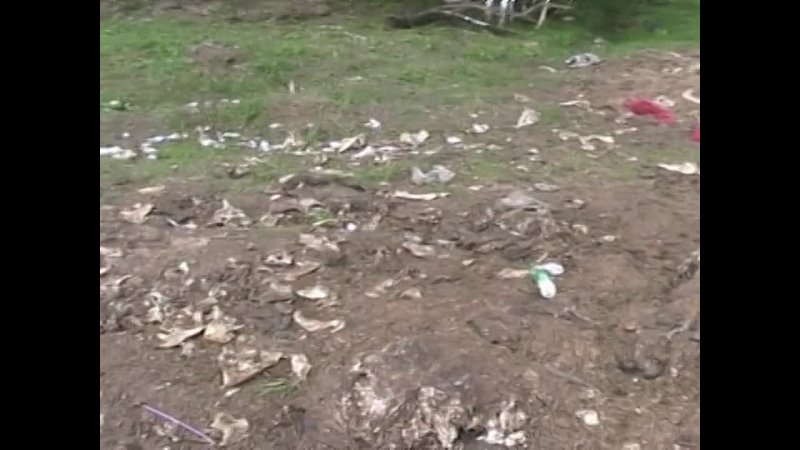 video россия изнутри молодые фильм тульская область для поиска кино фильм россия porno порно анал прикол тула рус avi sex
