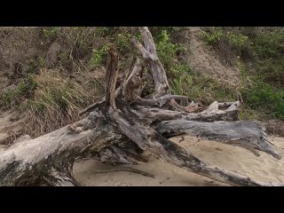 video parque tayrona playa la piscina cerca de santa marta colombia 4k viajacondanis720p hd mp4 sex