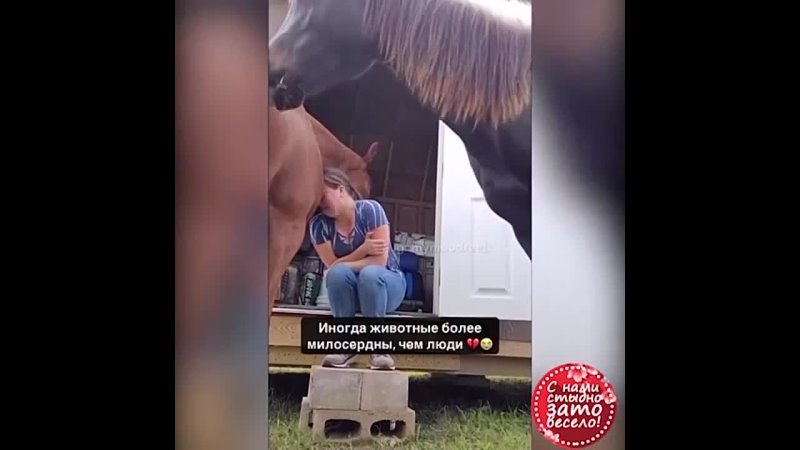 video столько любви в лошадке как же она успокаивает свою хозяйку sex