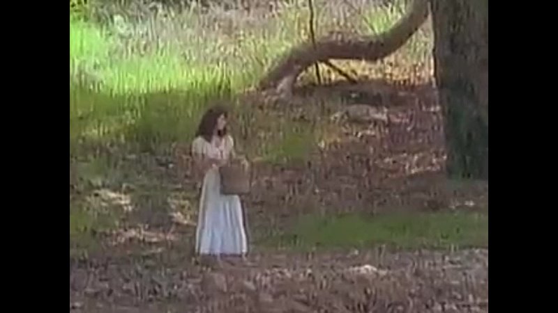 video эротические приключения трех мушкетеров erotic adventures of the three musketeers 1992 sex