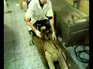 video как мы остались одни в морге sex