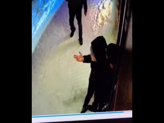 video ценный иностранный специалист хотел молодые женщину в спб sex