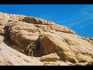 video маки это тоже цветы the poppy is also a flower poppies are also flowers австрия сша моска инспектор1966 год sex